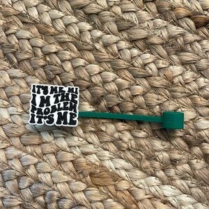 Taylor Swift “I’m the problem” Stanley cup/tumbler straw topper or straw cover